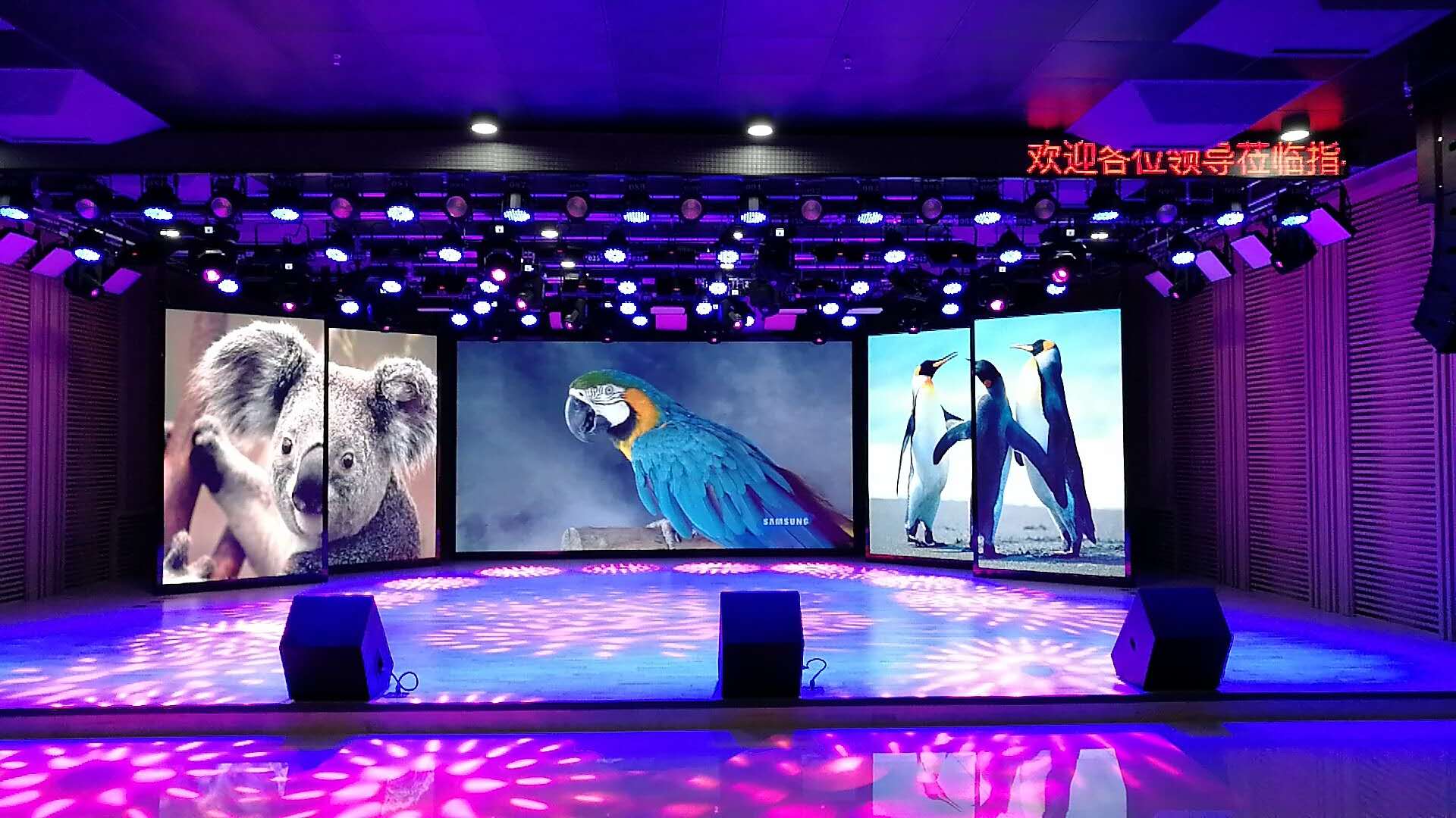 黑龍江電視臺 黑龍江電視臺